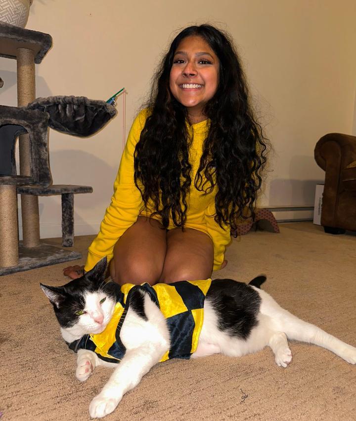 Veterinarians in Lynbrook Lynbrook NY Veterinarians